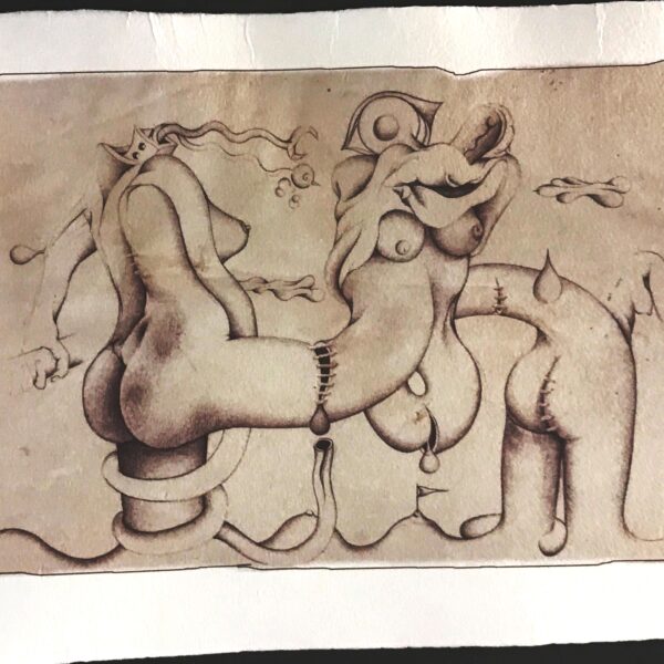 Öcsike hazatért grafikái a „Papírmónárnál”