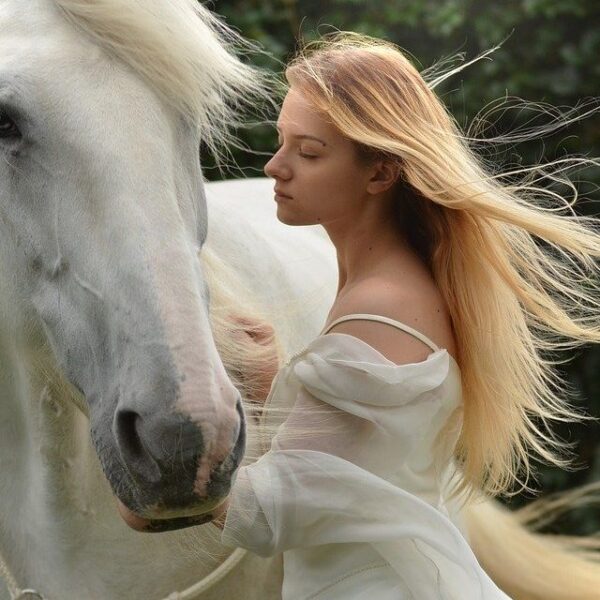 A fehér ló -Év végi gondolatok, tanulságokkal a jövőre –