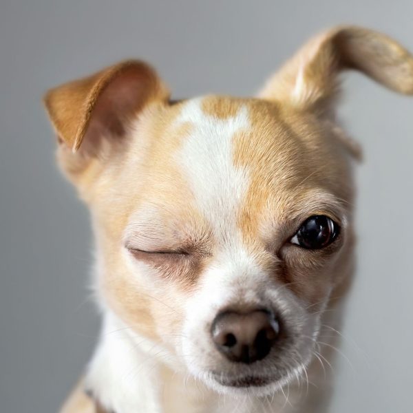 A hála nem üzleti kategória