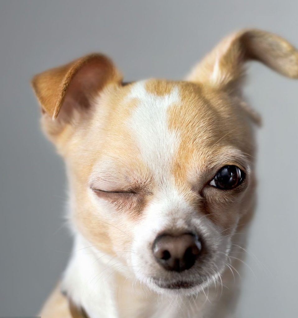 A hála nem üzleti kategória