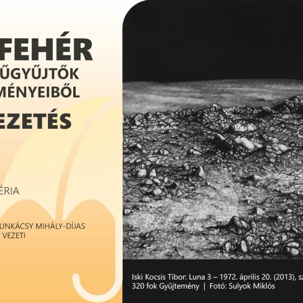 Tárlatvezetés „Fekete-fehér” kiállításon az Esernyős Galériában
